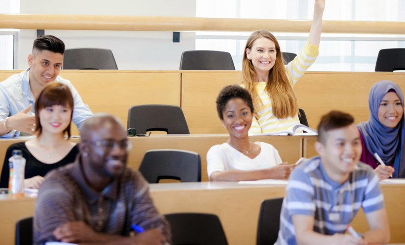 Wizdo Training and Consulting